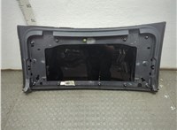 103490380J Стекло боковой двери Tesla Model X 2015-2021 21220268 #2