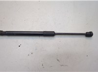 81161L0000 Амортизатор капота Hyundai Sonata 8 DN8 2019-2023 21221289 #1