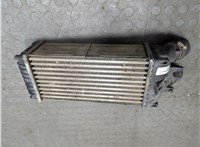  Радиатор интеркулера Peugeot Partner 2002-2008 21223191 #1