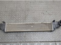  Радиатор интеркулера Mercedes E W211 2002-2009 21224506 #1