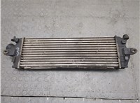  Радиатор интеркулера Renault Trafic 2001-2014 21224757 #2