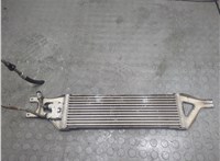 A1645002400 Радиатор масляный Mercedes GL X164 2006-2012 21229075 #2