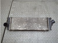  Радиатор интеркулера Renault Trafic 2001-2014 21230791 #1