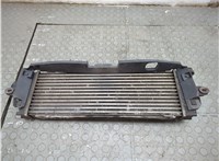  Радиатор интеркулера Renault Trafic 2001-2014 21230791 #4