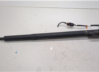  Амортизатор крышки багажника Dodge Hornet 2022-2025 21230801 #1
