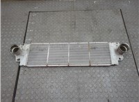  Радиатор интеркулера Volkswagen Transporter 5 2003-2015 21231095 #1