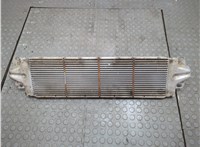  Радиатор интеркулера Volkswagen Transporter 5 2003-2015 21231095 #4