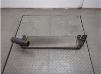  Радиатор интеркулера Ford Focus 2 2008-2011 21233903 #1