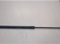 68620106AA Амортизатор капота Dodge Hornet 2022-2025 21238851 #1