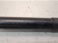 68620106AA Амортизатор капота Dodge Hornet 2022-2025 21238851 #2