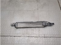 ej73a095ae Радиатор масляный Ford Escape 2015-2019 21242309 #1
