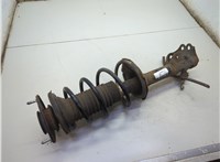  Амортизатор подвески Toyota Yaris Verso 1999-2006 21250800 #1