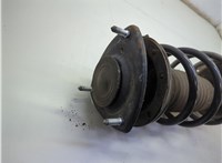  Амортизатор подвески Toyota Yaris Verso 1999-2006 21250800 #4