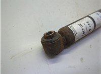 51870990 Амортизатор подвески Fiat Panda 2003-2012 21250973 #3