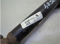 51870990 Амортизатор подвески Fiat Panda 2003-2012 21250973 #5