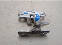 7482155541 Петля двери Renault T 2013-2022 21251249 #4