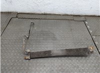 20874702, 95461720, 95280471 Радиатор гидроусилителя Opel Antara 2006-2015 21259636 #2