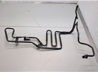  Радиатор гидроусилителя Mercedes C W203 2000-2008 21258405 #1