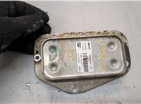 Теплообменник Opel Astra H 2004-2010 21260806 #2