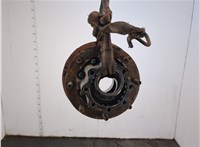 A9763561801 Ступица (кулак, цапфа) Mercedes Atego 2 2004-2022 21262485 #1