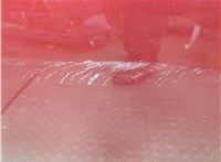  Стекло форточки двери Citroen C4 2010-2020 11860395 #11