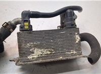  Теплообменник Ford Fiesta 2008-2013 21265889 #4