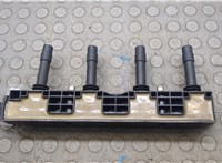 1208307, 19005212 Катушка зажигания Opel Corsa C 2000-2006 21266645 #8