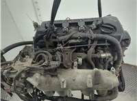  Насос гидроусилителя руля (ГУР) Nissan Almera Tino 11864025 #5