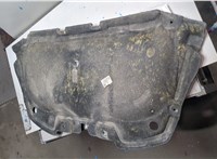 9688224480 Обшивка капота DS 5 2015-2018 21271878 #2
