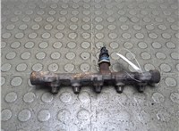 0281006191 Рампа (рейка) топливная Nissan NV400 2010-2024 21272047 #1