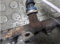 0281006191 Рампа (рейка) топливная Nissan NV400 2010-2024 21272047 #2