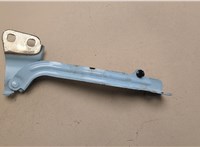 M1PB16800AA Петля капота Ford Bronco Sport 2020-2024 21282037 #1