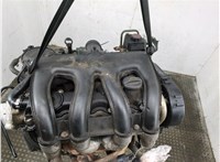 0135AN Двигатель (ДВС) Citroen Berlingo 2002-2008 21295617 #13