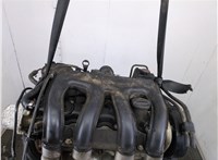 0135AN Двигатель (ДВС) Citroen Berlingo 2002-2008 21295617 #12