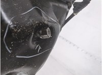  Насос водяной (помпа) BMW 3 E90, E91, E92, E93 2005-2012 11882809 #9
