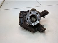 1J0407613G, 1J0407256N Ступица (кулак, цапфа) Volkswagen Golf 4 1997-2006 21307466 #1