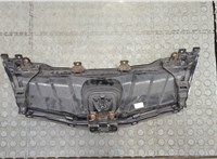  Решетка радиатора Honda Civic 2005-2012 21313169 #3