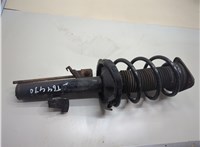  Амортизатор подвески Ford Focus 2 2008-2011 21313897 #1