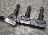  Катушка зажигания Opel Corsa C 2000-2006 21317322 #1