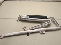 84282471 Подушка безопасности боковая (шторка) Buick Regal 2017-2021 21317874 #1