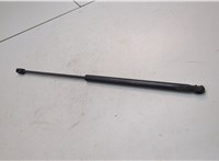 55113748AA Амортизатор капота Dodge Durango 2013-2020 21319166 #1