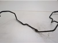  Трубка масляная Audi A6 (C5) Allroad 2000-2006 21324760 #1