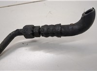  Трубка масляная Audi A6 (C5) Allroad 2000-2006 21324760 #5