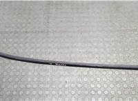 51377300024, 7300024 Молдинг стекла (боковое) Mini Cooper (F56) 2013-2024 21324989 #1