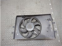 A1695001693, A1695002493 Вентилятор радиатора Mercedes A W169 2004-2012 21331073 #1