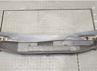 A1698300013 Жабо под дворники (дождевик) Mercedes A W169 2004-2012 21335276 #1