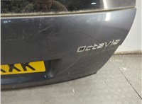  Обшивка крышки (двери) багажника Skoda Octavia (A5) 2004-2013 11900127 #14