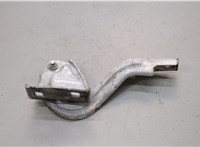 1612684680 Петля капота Citroen Jumper (Relay) 2014-2025 21341874 #1