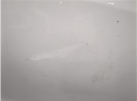 C5Y37202XE Дверь раздвижная Mazda 5 2010-2015 21354699 #4