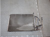  Радиатор кондиционера Ford Fusion 2002-2012 21356101 #1